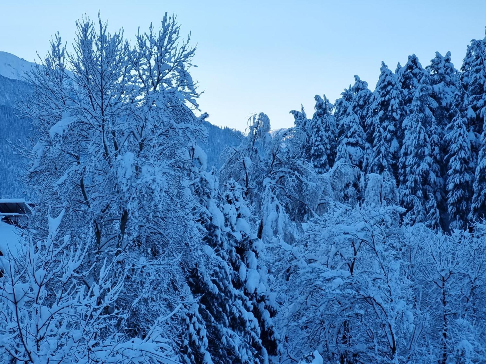 Banon Resorts Manāli Exteriör bild